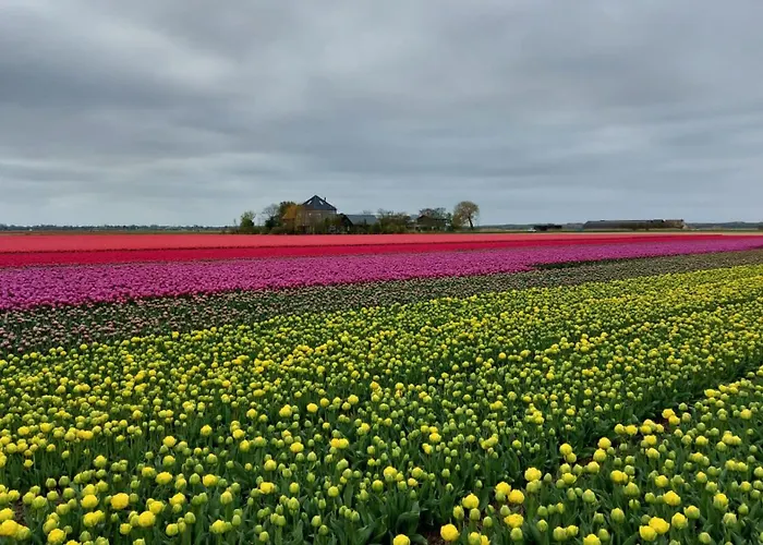 Bij Van Der Veer